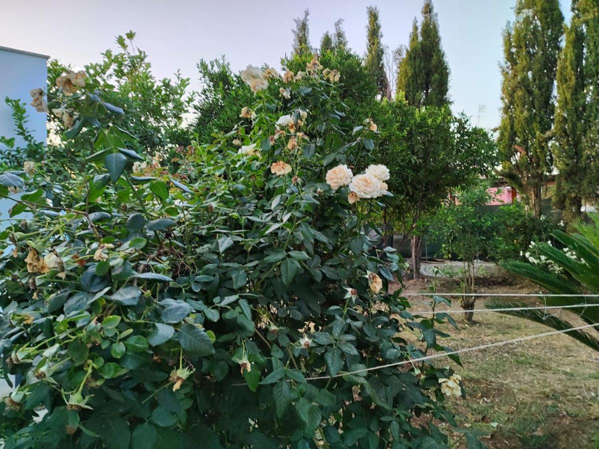 Filoxenia Di Umberto Vendégház Sassari Kültér fotó